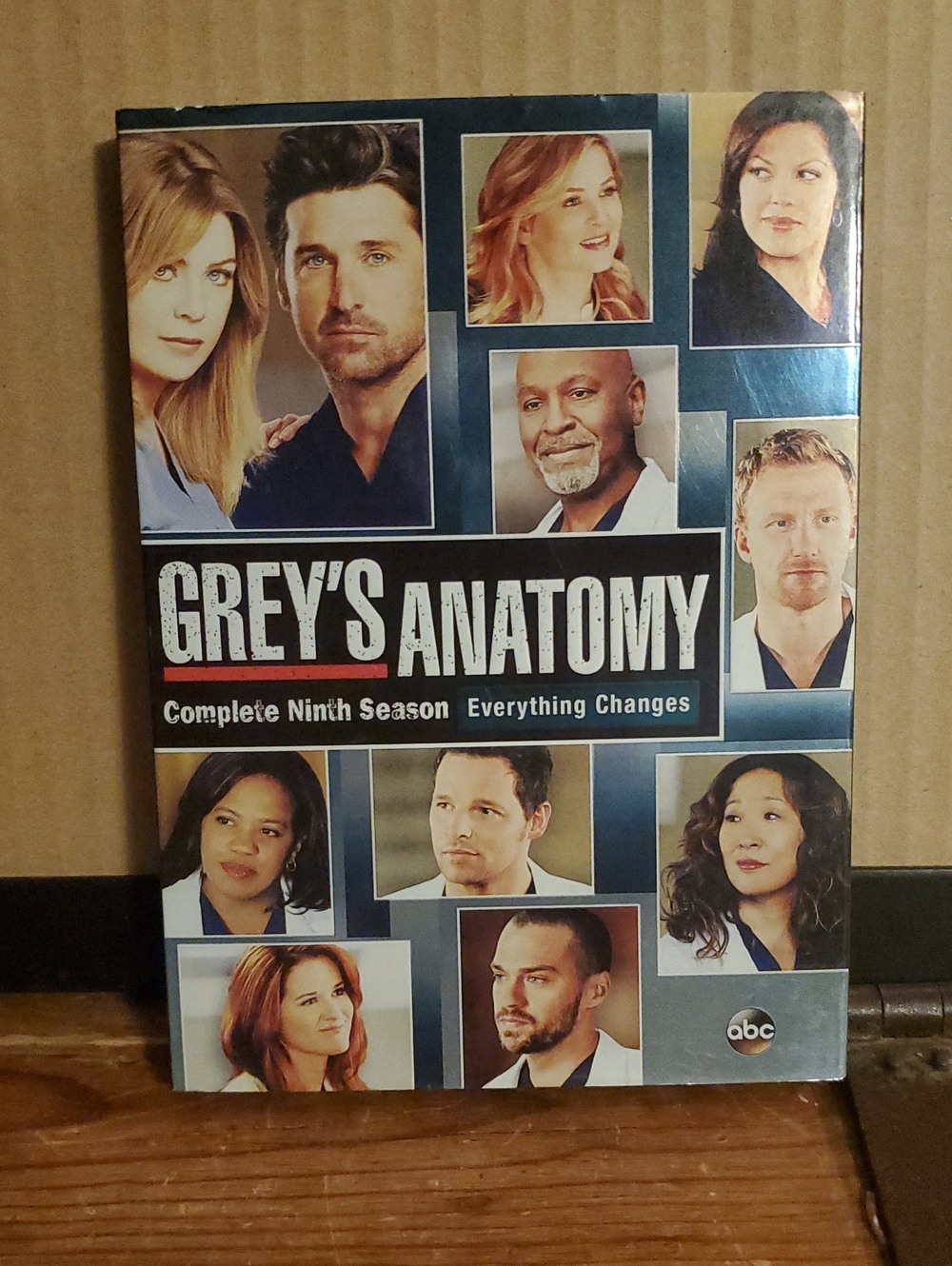 Grey's Anatomy Complete Ninth Season DVD - Blue Cover